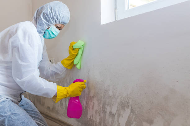 Best Mold Documentation for Insurance Claims  in , KS